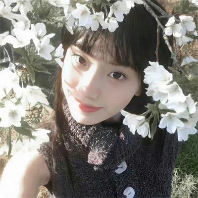庇护棕榈树下封面