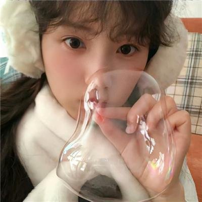 长毛狗封面
