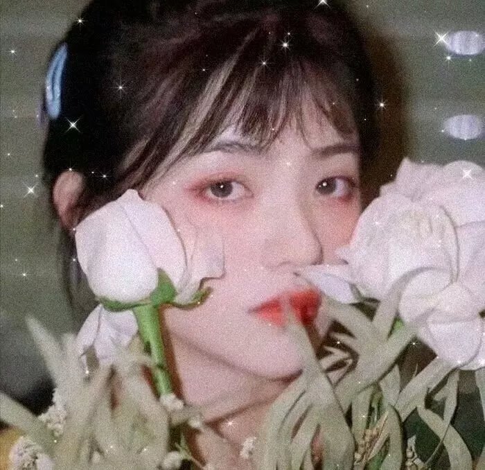 热带的甜蜜封面